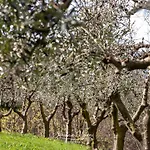 Cascina Capele Appartement Gratacasolo