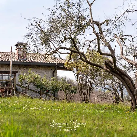 Cascina Capele Appartement *