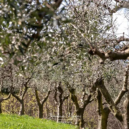 Cascina Capéle Appartement Gratacasolo